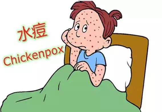 又到水痘高发期！这些预防知识，宝妈必须掌握！