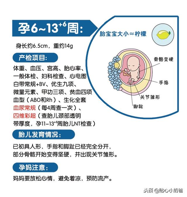 孕期产检及胎儿发育对照表（建议收藏）
