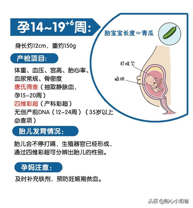 孕期产检及胎儿发育对照表（建议收藏）