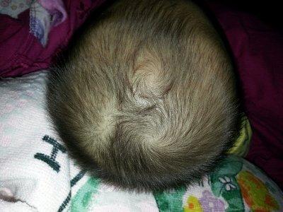 看孩子头上长什么样的旋儿，就能够知道这个人的命运吗？