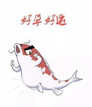 给大家报喜啦，卸货小王子，分享我的备孕经验和好运锦鲤给大家