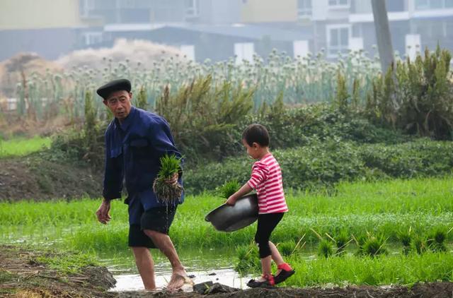 不是寒门难出贵子，而是穷家富养多败子！