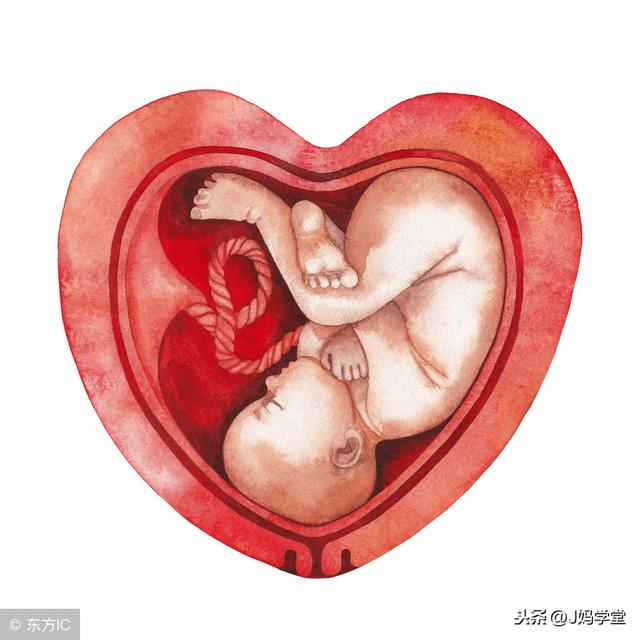 胎盘前壁和胎盘后壁有什么区别？哪个胎盘位置更安全？准妈妈看下