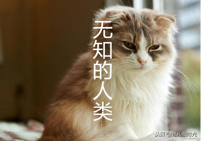 喂奶导致胸部下垂？冤枉！明明是激素导致的