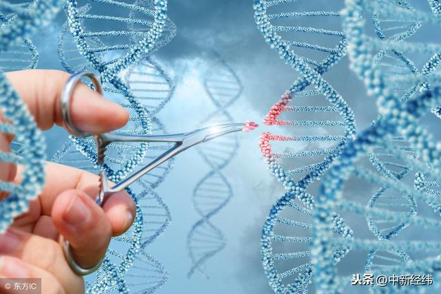 国家卫健委：将依法依规处理“免疫艾滋病基因编辑婴儿”事件