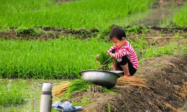 不是寒门难出贵子，而是穷家富养多败子！