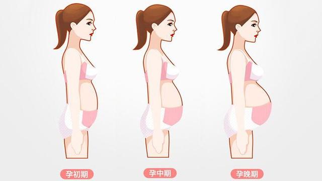 孕妇从这个月起肚子蹭蹭变大，不光是吃得多，还有这3个原因