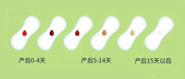 产后恶露要重视,它关乎你的子宫是否恢复!