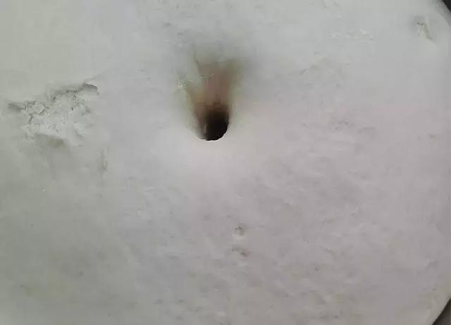 家常菜谱，中华小肉龙，10个月的宝宝都能吃