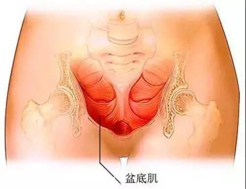 宝宝分娩后，产后42天别糊涂，牢记12个要点，触碰一个，月子作废