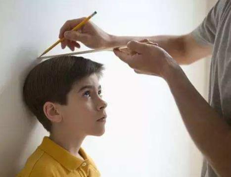 这种“头型”的孩子，长大后的身高低不了，家长就偷着乐吧！