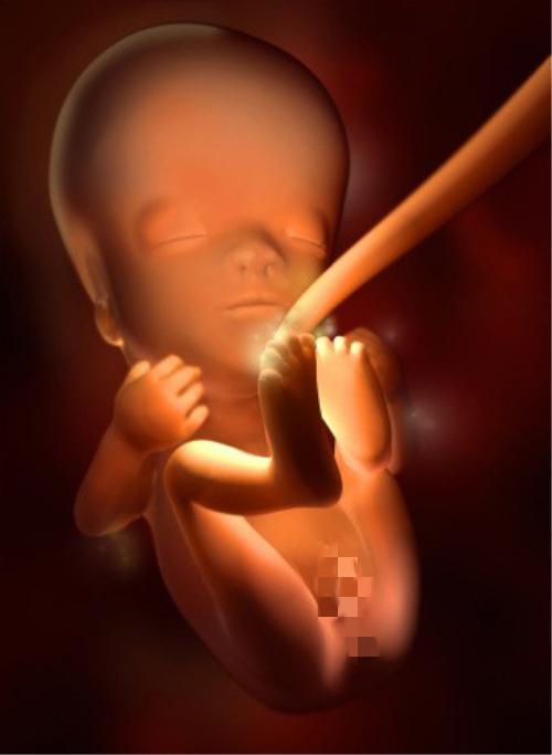 九张图带你看看，孕早期宝宝在妈妈肚子里怎么长大的，真的好神奇