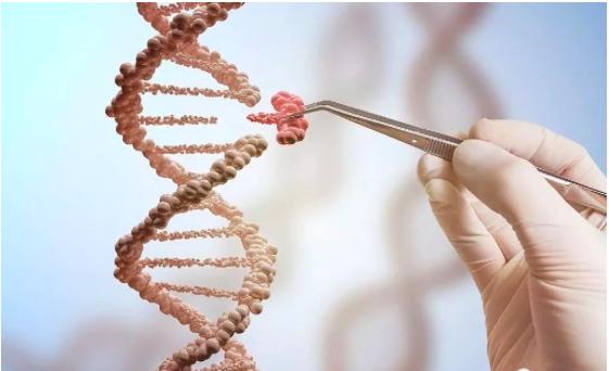 首例免疫艾滋病婴儿诞生，中国科学家引发巨大争议