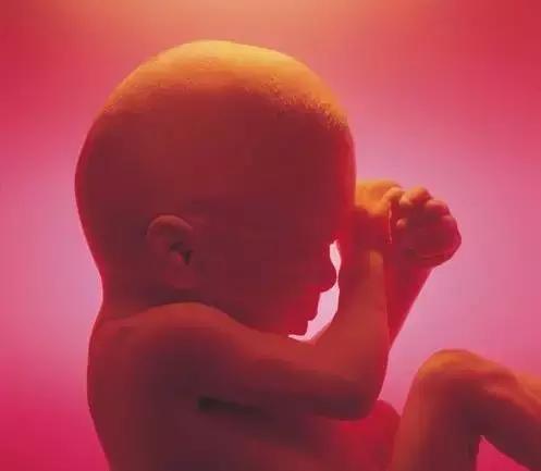 为什么要叫“羊水”，跟羊有关系？