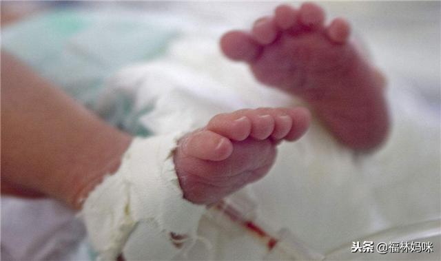 早产儿“七活八不活”？有科学依据吗？做到这些宝宝一样健康