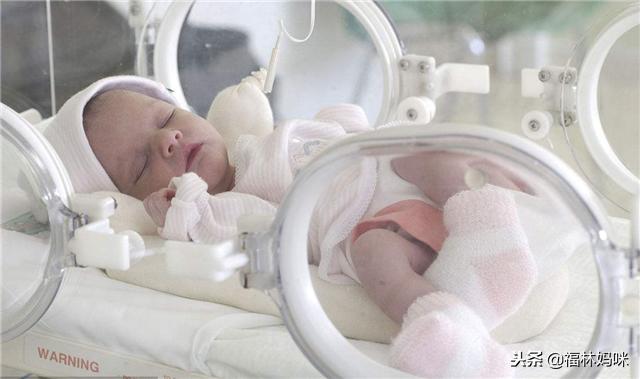 早产儿“七活八不活”？有科学依据吗？做到这些宝宝一样健康