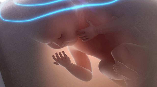 孕24周做四维彩超排畸检查，照了2次，为什么宝宝总是挡住脸？