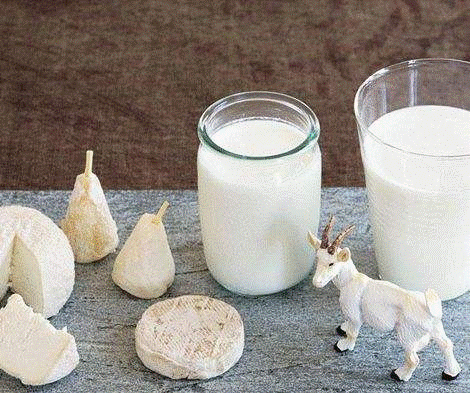 儿童喝羊奶还是牛奶？五大区别，没准你还真的不知道