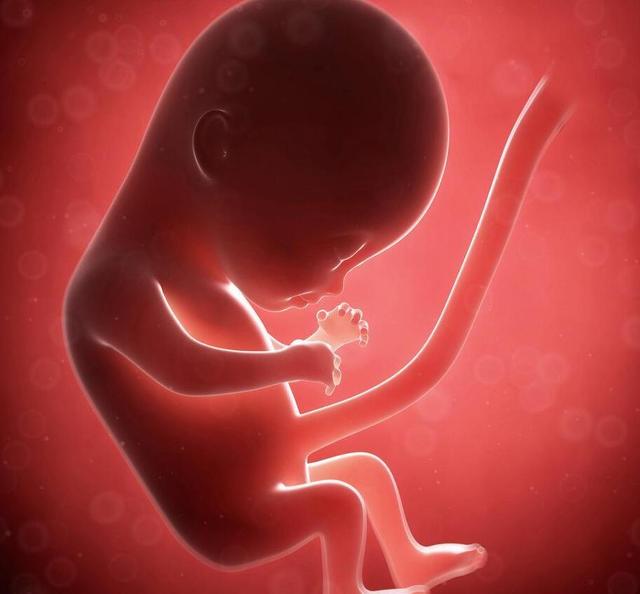 脐带绕颈是胎儿太活泼？孕妈不注意这几件事，宝宝拿脐带当围巾戴