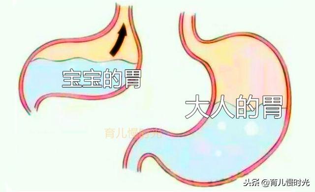 宝宝拍嗝，这六个误区请远离
