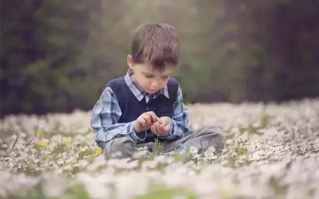 在德国幼儿园三年只学这些，难怪他们承包了一半的诺贝尔奖！