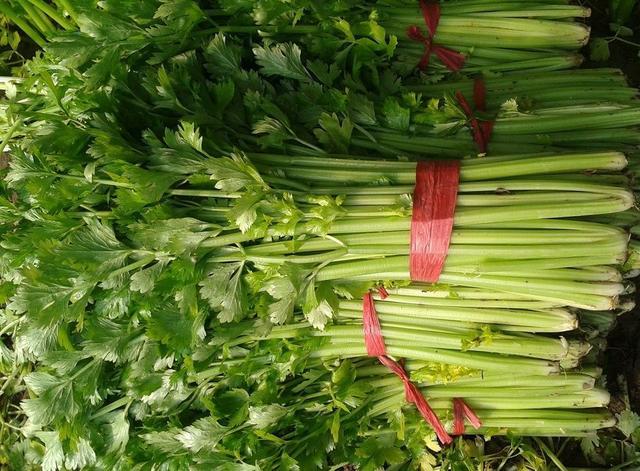 孕期一人吃俩人补，这5种食物多吃，有利于胎宝宝成长发育