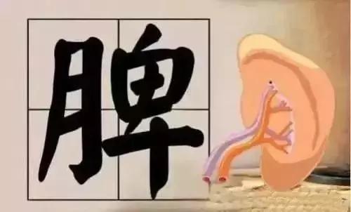 健脾消食化积，成人小儿都用！
