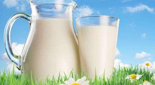儿童喝羊奶还是牛奶？五大区别，没准你还真的不知道