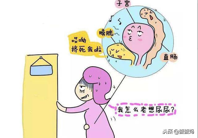 对于孕妇尿频的尴尬，都选择用这种方式！医生：不可取！