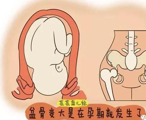 专家提醒，月子是女人脱胎换骨的好机会，做好8个指标从145-96斤