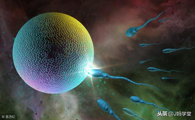 为什么有些女人容易怀孕？易孕体质的关键是这个，备孕女性要知道