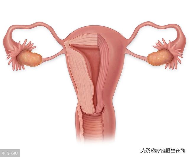 女性使用节育环,对生活会有什么影响?有利也有弊