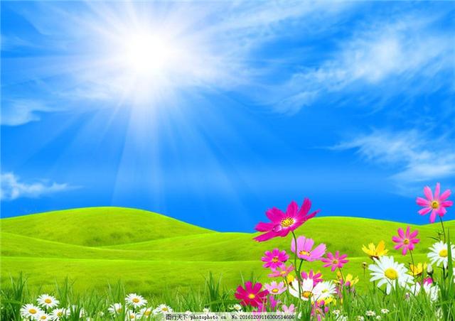 NT检查和B超有什么区别？哪个更好？产科医生为你答疑解惑