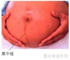 怀孕第5个月：中期筛查和胎儿认知功能