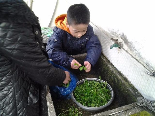 宝妈做饭等到油冒烟再放菜？这几个不良习惯，正在危及全家健康