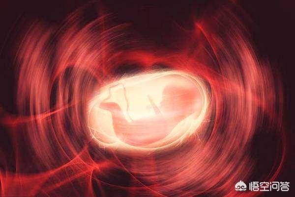 怀孕4个月，胎动在什么位置动得最多呢？有何依据？