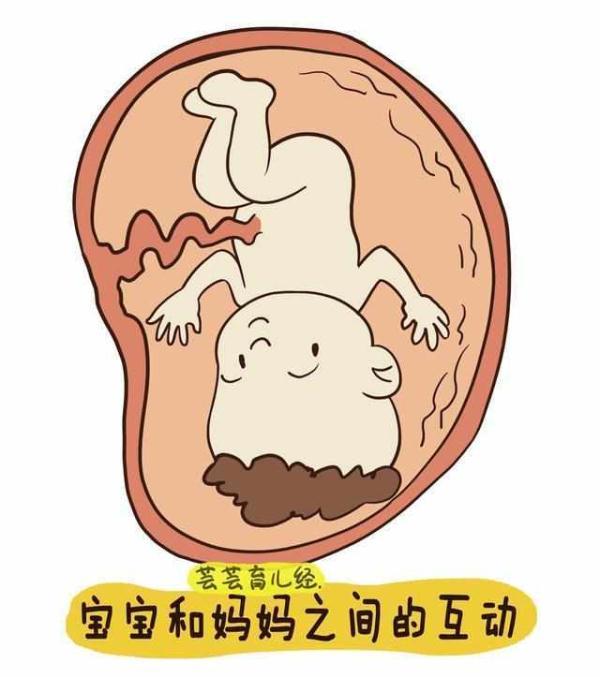 这几类准妈妈更易生出聪明宝宝，里面有你么？