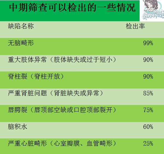 怀孕第5个月：中期筛查和胎儿认知功能