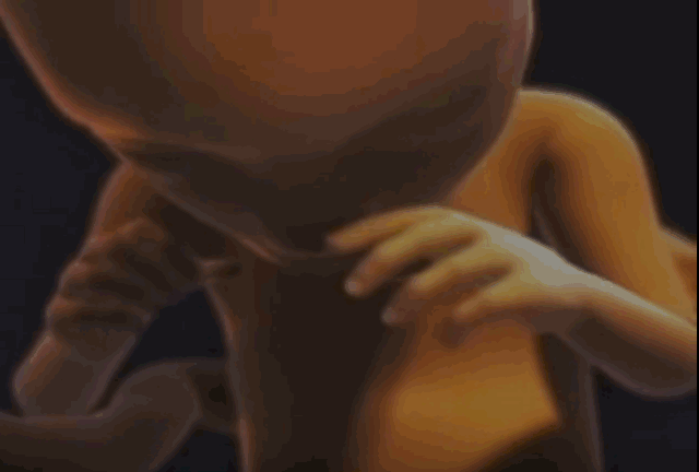 孕期胎动频繁，和胎儿性格有关吗？有哪些科学依据？