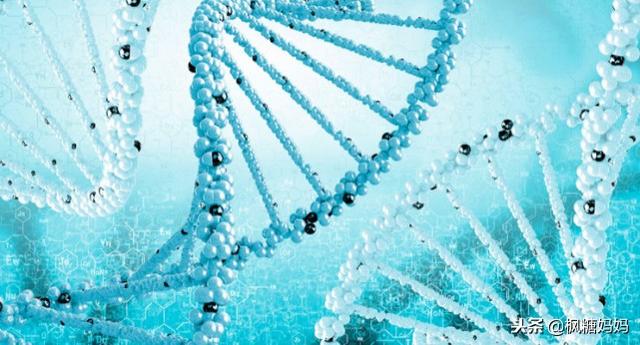 世界首例基因编辑婴儿诞生，“赢在胚胎”时代，怎么教育下一代
