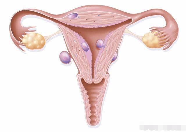 “易孕”的女人，身上的这3个“特点”明显，看看你占了几个？