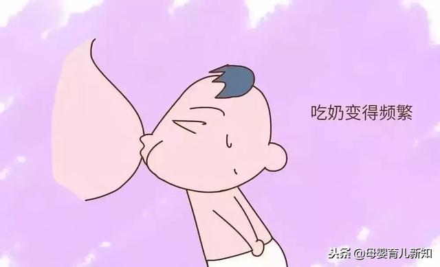 宝宝刚吃完奶又双叒要吃奶？有这3种表现表示宝宝处在猛长期