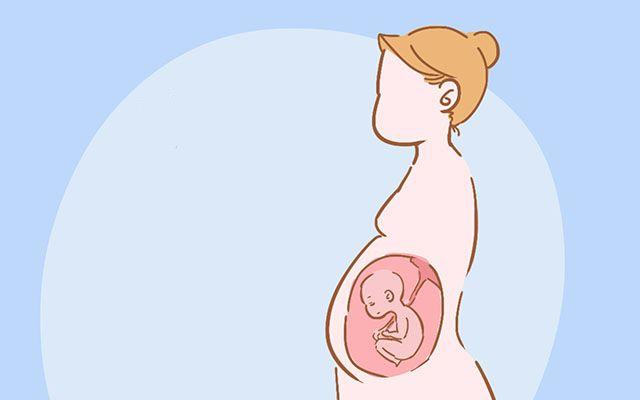 怀孕后不显怀的这4个原因，孕妈你都知道吗？