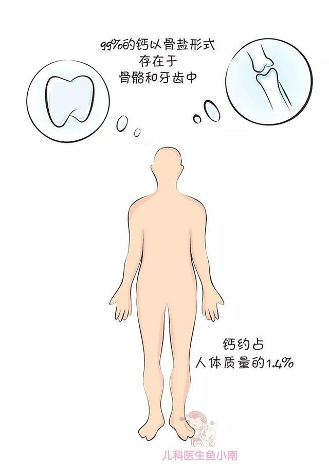 辟谣！“宝宝出牙晚补钙就行！”医生：宝宝根本不需要额外补钙！