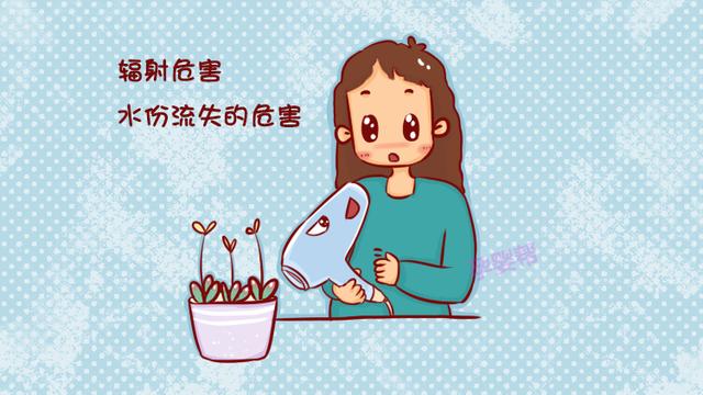 孕期使用吹风机易致胎儿畸形？妇产科医生：这样使用才安全！