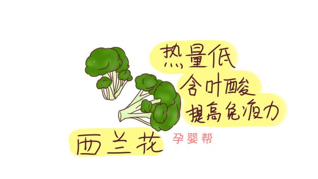 冬季的这几种蔬菜，富含天然“叶酸”，再贵备孕女性也要买！
