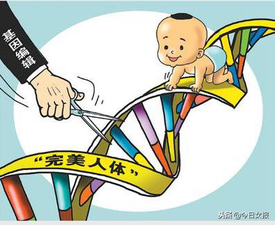 如果见到天生抗艾“基因编辑婴儿”双胞胎，你会做什么