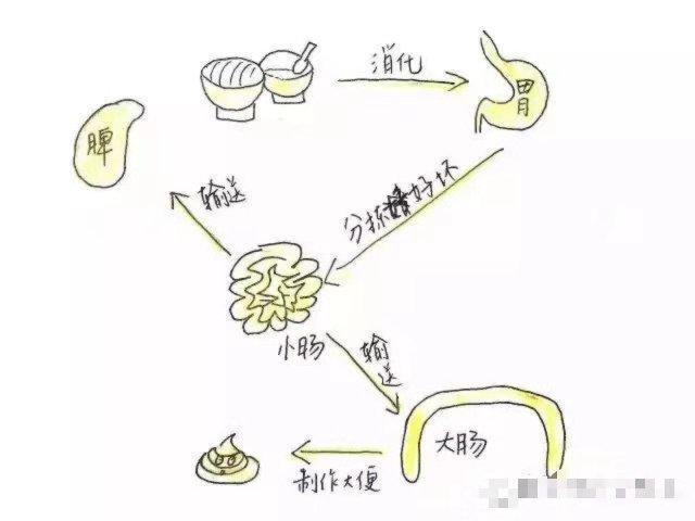 孩子积食了有哪些表现，可以怎么处理呢
