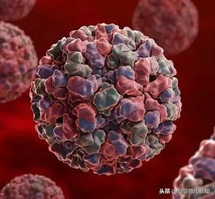 诺如病毒又双叒来了，应对指南快快收藏，教你有效预防诺如病毒