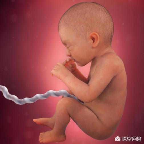 怀孕32周早产，宝宝体重4.8斤，进了保温箱，多久可以回家？
